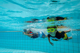 Yüzme havuzunda yarışan sporcular